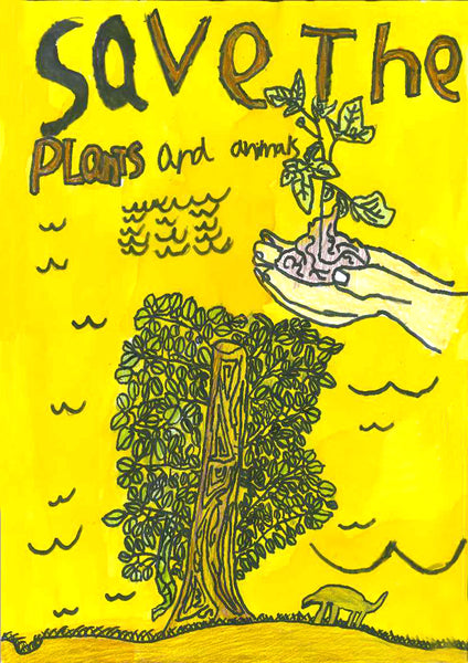 Environmental Art Project Cards Pack of 5 (m/eap001)