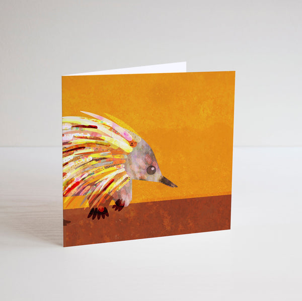 Braw Paper Co. -  Mini Square Cards (tri060)