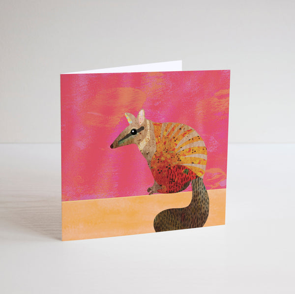Braw Paper Co. -  Mini Square Cards (tri060)