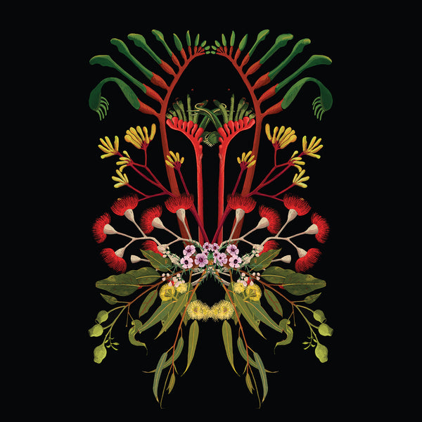 Joanna Brown - Laeline Design Studios - Various Card Stock - Western Australian Native Plants (m/jbr001)