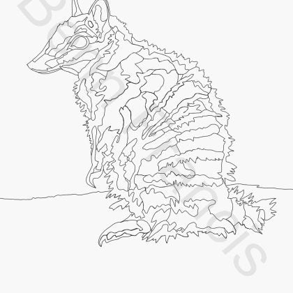 Benn Francis - Animals Colouring Book - Volume 1 (bfr050)