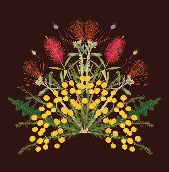 Joanna Brown - Laeline Design Studios - Various Card Stock - Western Australian Native Plants (m/jbr001)