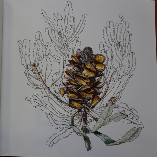 Philippa Nikulinsky - 'Firewood Banksia' Hardcover Book (m/fac63)