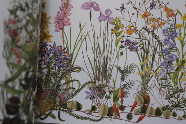 Philippa Nikulinski - 'Naturally Nikulinsky' Softcover Book (m/fac04)