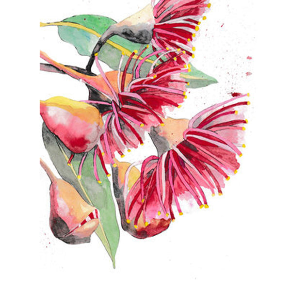Ruth De Vos -  Various A4 Fine Art Print from Original Watercolour (rde023)