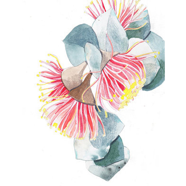 Ruth De Vos -  Various A4 Fine Art Print from Original Watercolour (rde023)