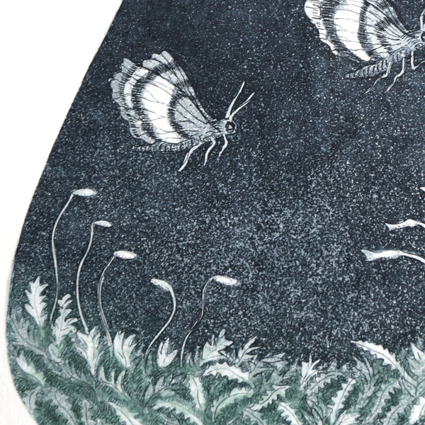 Kati Thamo - 'The Moss Garden' 4/16, Etching (kth035)