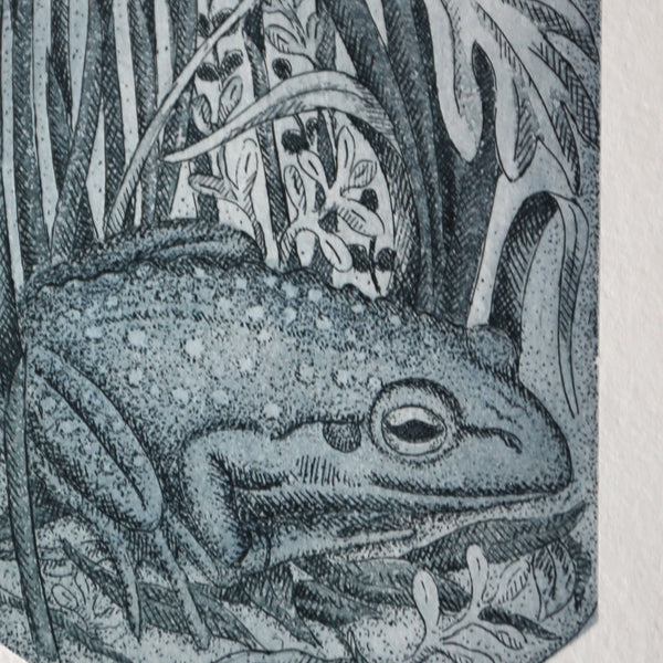 Kati Thamo - 'Wildlife Preserve - Frog' 8/25, Etching (kth041)