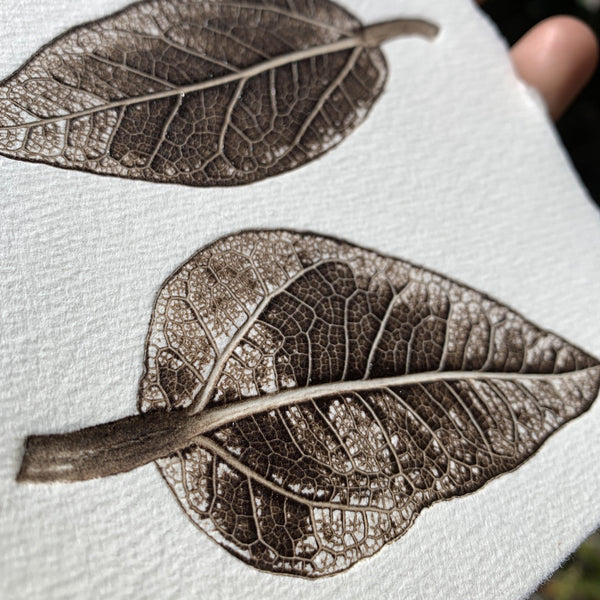 ECO DRYPOINT AND COLLAGRAPH PRINTMAKING WORKSHOP | JUNKO KITAMURA