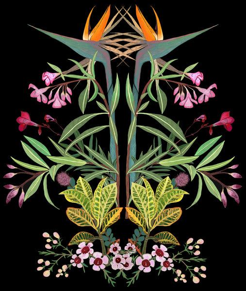 Joanna Brown - Laeline Design Studios - Various Card Stock - Western Australian Native Plants (m/jbr001)