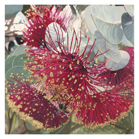 Stacy Gardoll - 'Rhodanthas in the Rain' Medium Unframed Print (sga023)