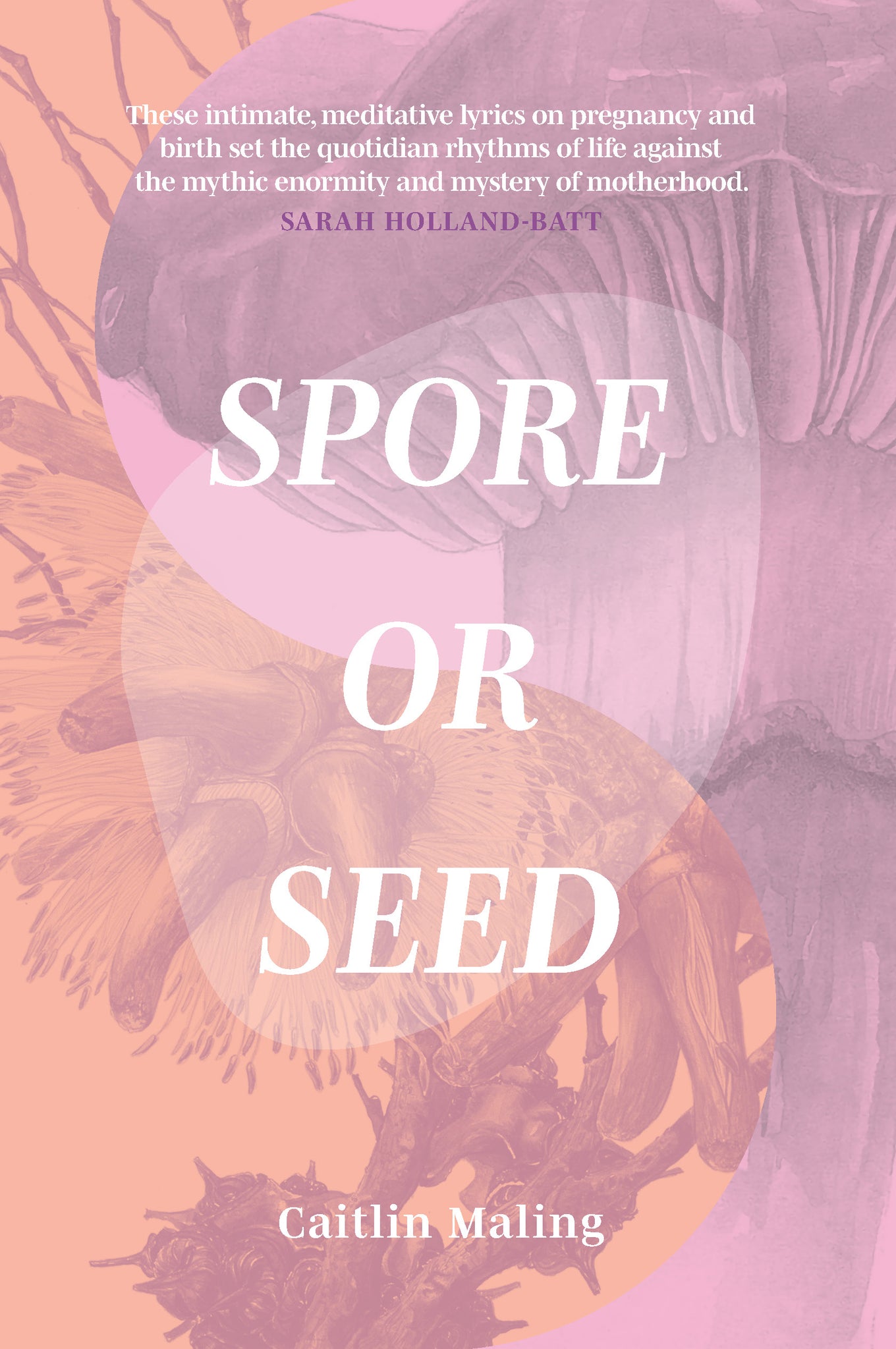 Caitlin Maling - 'Spore or Seed' Softcover book (m/fac036)