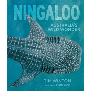 'Ningaloo' Written by Tim Winton Illustrated by Cindy Lane (m/fac064)
