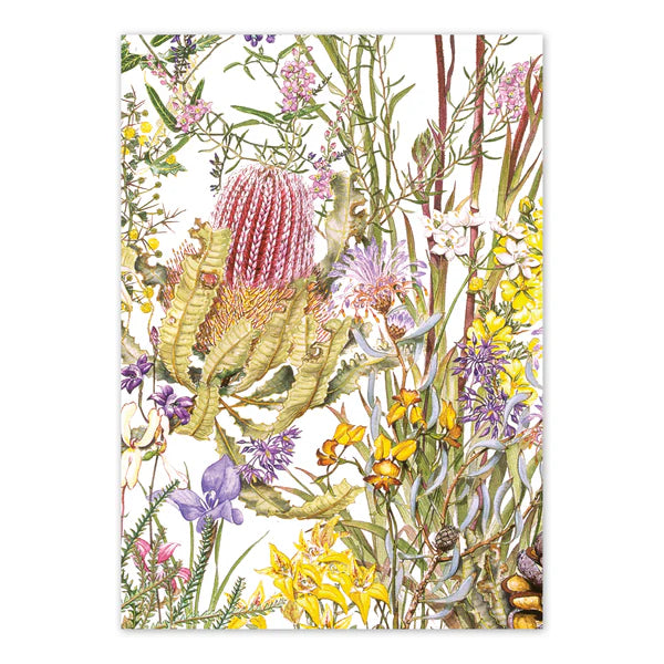 Angela Nikulinsky - Wildflowers of Kings Park Card (m/anik38)