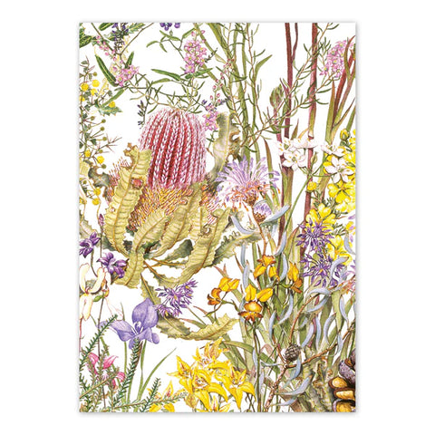 Angela Nikulinsky - Wildflowers of Kings Park Card (m/anik38)