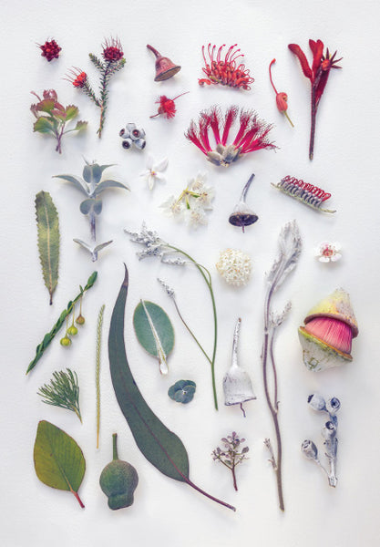 Pattern Hunters - Various Greeting Cards (m/phu007)