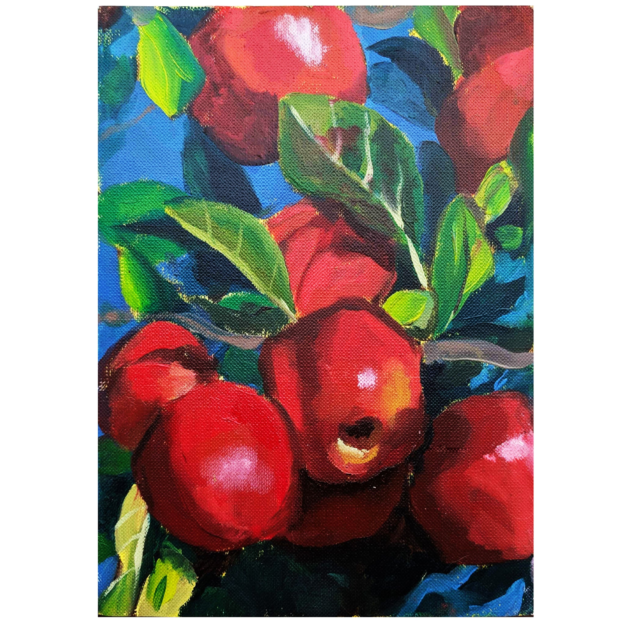 Josi Svendsen - 'Apples' Limited Edition Print (jsv015)