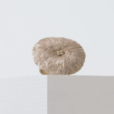 Sultana Shamshi - Watsonia Rings (ssh031)