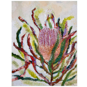Tina Bryce - 'Banksia Firecracker' (tbr008)