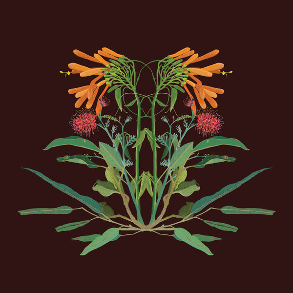 Joanna Brown - Laeline Design Studios - Various Card Stock - Western Australian Native Plants (m/jbr001)