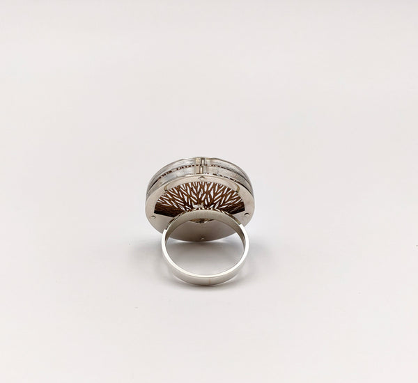 Rumma Designs - Corm Ring (size P) Watsonia corm, Sterling Silver, Acrylic (kch001)