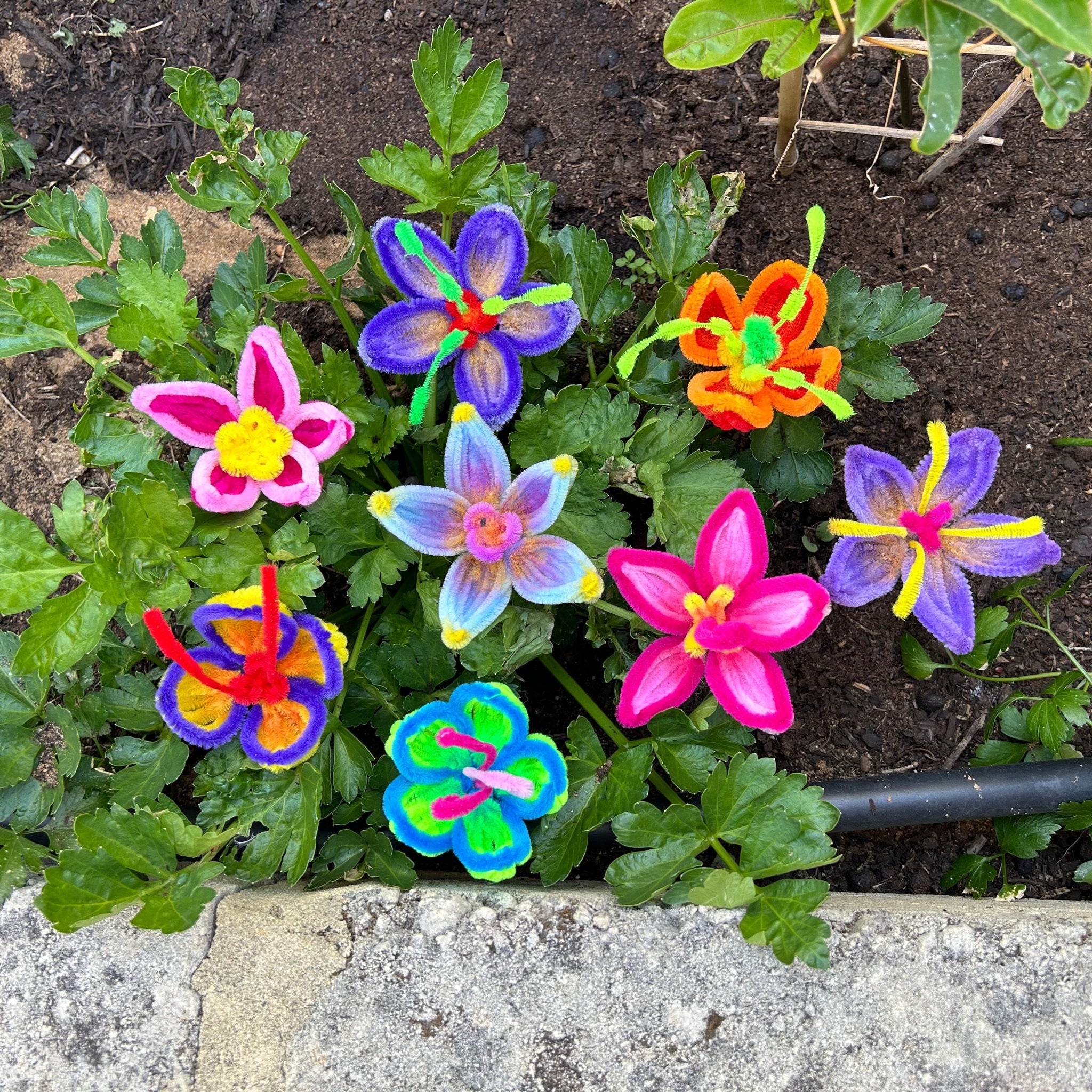 COMMUNITY ART GARDEN | CREATE A FLOWER WITH YASAMIN KHADEMBASHI