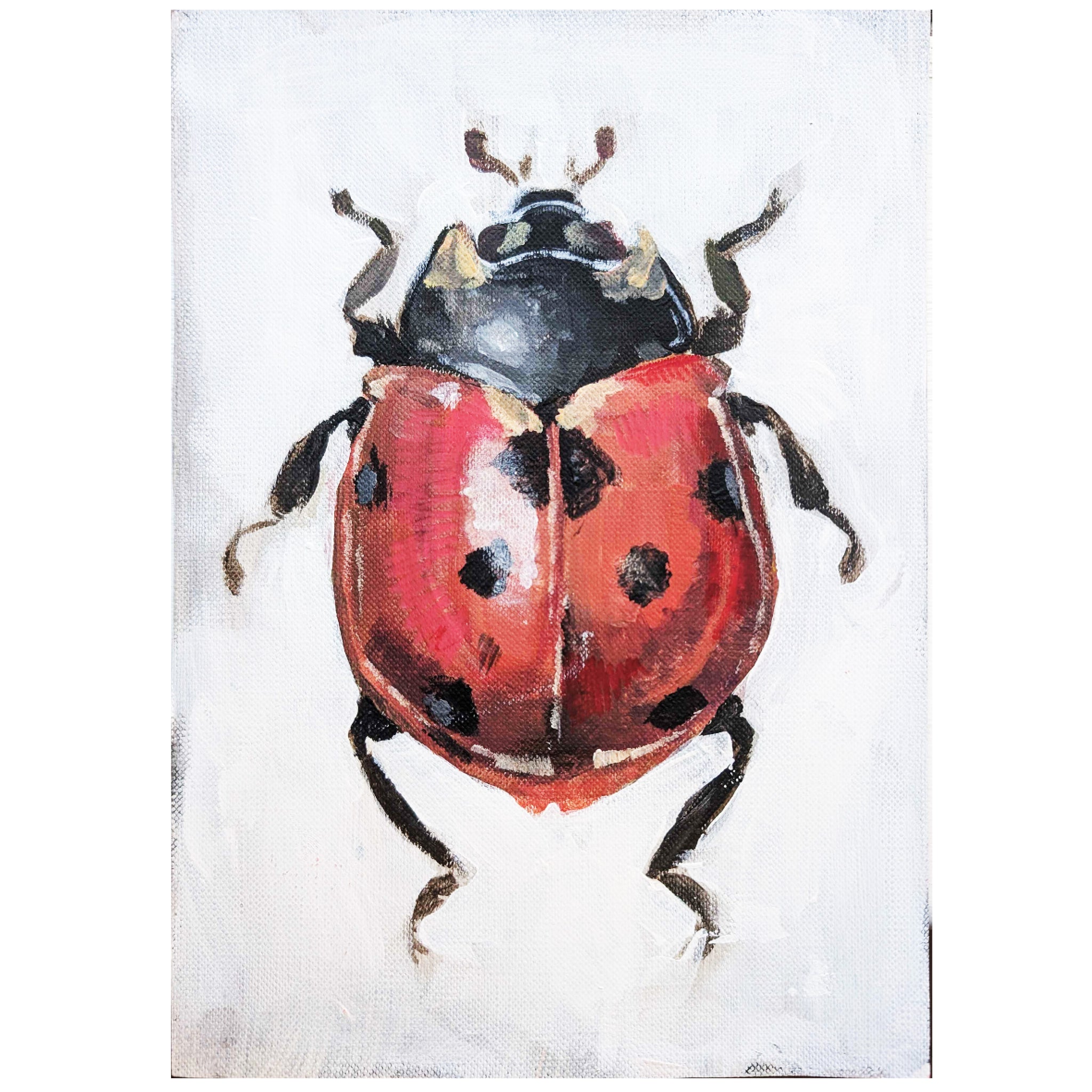 Josi Svendsen - 'Ladybug' Limited Edition Print (jsv013)