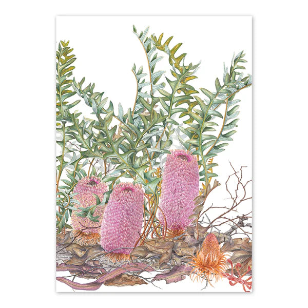 studio Nikulinsky - 'Banksia Blechnifolia' Rectangle Card A6 (m/anik43)