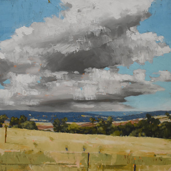 LOOSEN UP YOUR LANDSCAPES WITH RIC BURKITT - AM