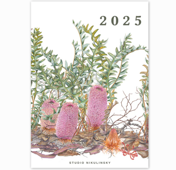 studio Nikulinsky - '2025 Calendar' (m/anik42)