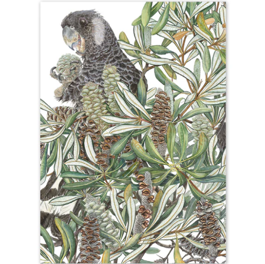 studio Nikulinsky - 'Red Tailed Black Cockatoos' Rectangle Card A6 (m/anik41)