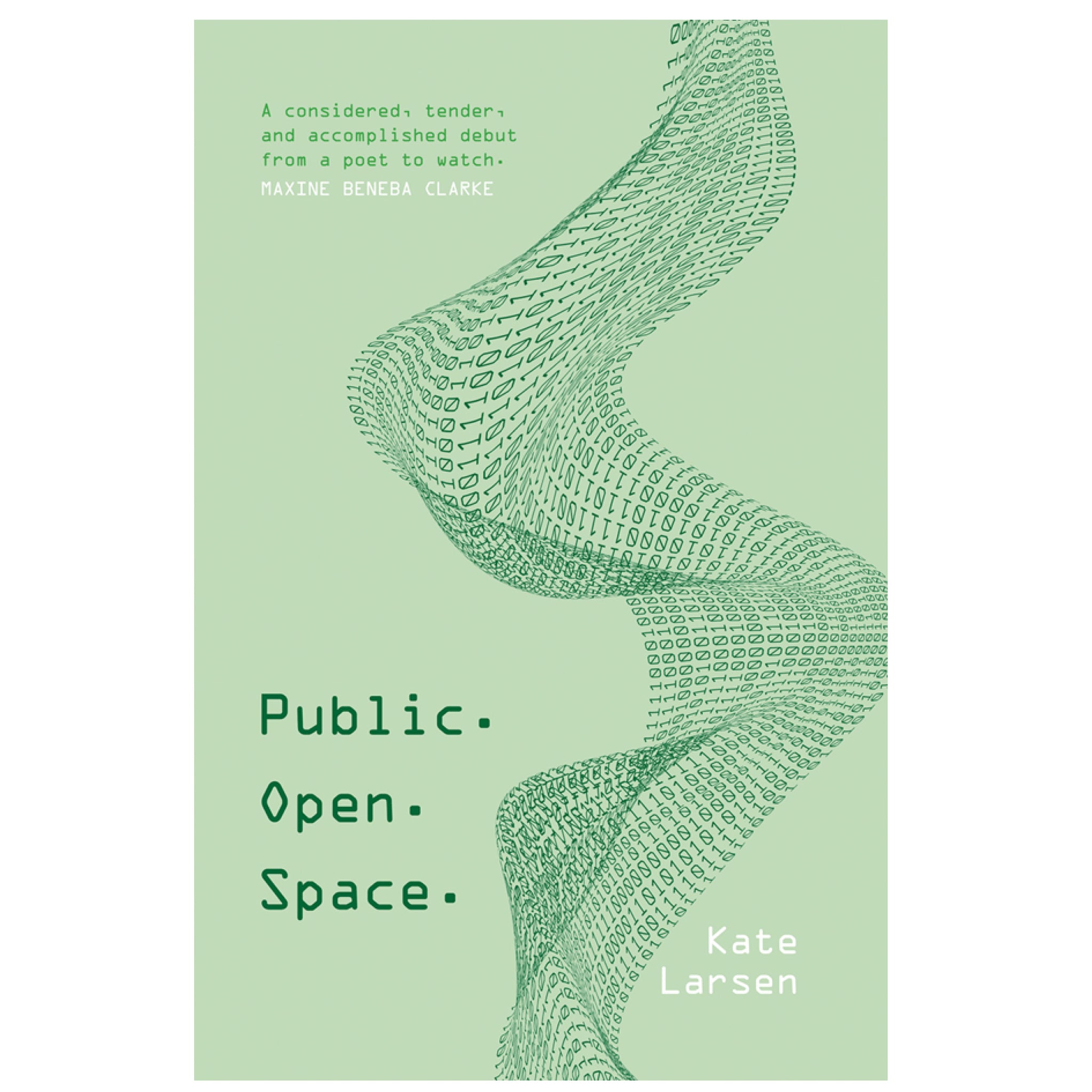 Kate Larsen - Public. Open. Space. - Softcover book (m/fac034)