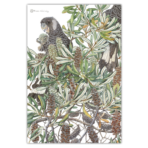 studio Nikulinsky - 'Banksia & Cockatoos' Tea Towel (m/anik49)