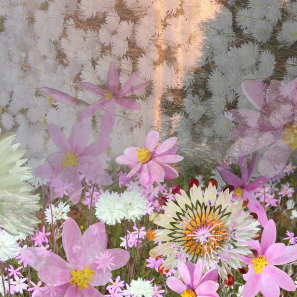 Chrisea Designs - 'Everlasting Journey' Cotton/Silk Wrap (cde092)