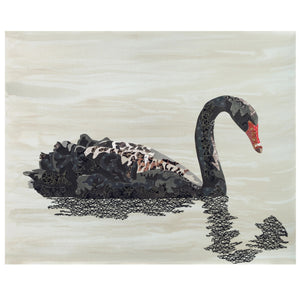 Benn Francis - Black Swan Card (bfr054)