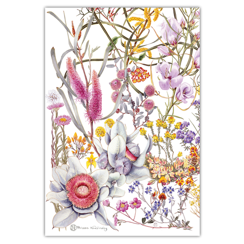 studio Nikulinsky - 'Northern Wheatbelt Wildflowers' Tea Towel (m/anik50)