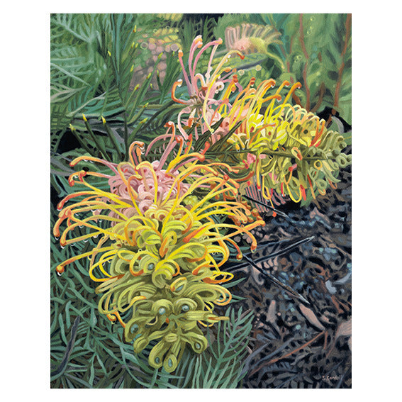 Stacy Gardoll - 'Grevillea Rhapsody' Medium Unframed Print (sga039)
