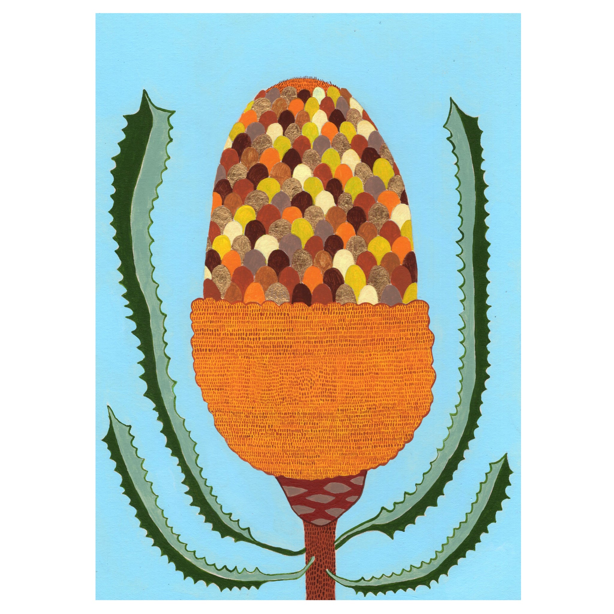 Louise Hamill - Banksia A3 Print (lha006)