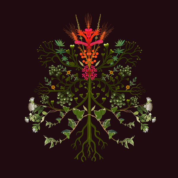 Joanna Brown - Laeline Design Studios - Various Card Stock - Western Australian Native Plants (m/jbr001)