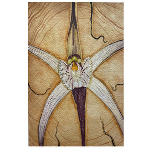 Yabini Kickett - 'Cara Orchid' Gouache on Paper (yki001)