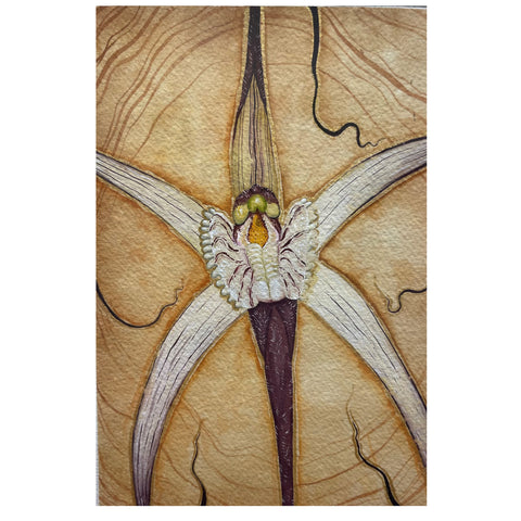 Yabini Kickett - 'Cara Orchid' Gouache on Paper (yki001)