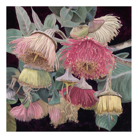 Stacy Gardoll - 'Rhodantha Variations' Medium Unframed Print (sga022)