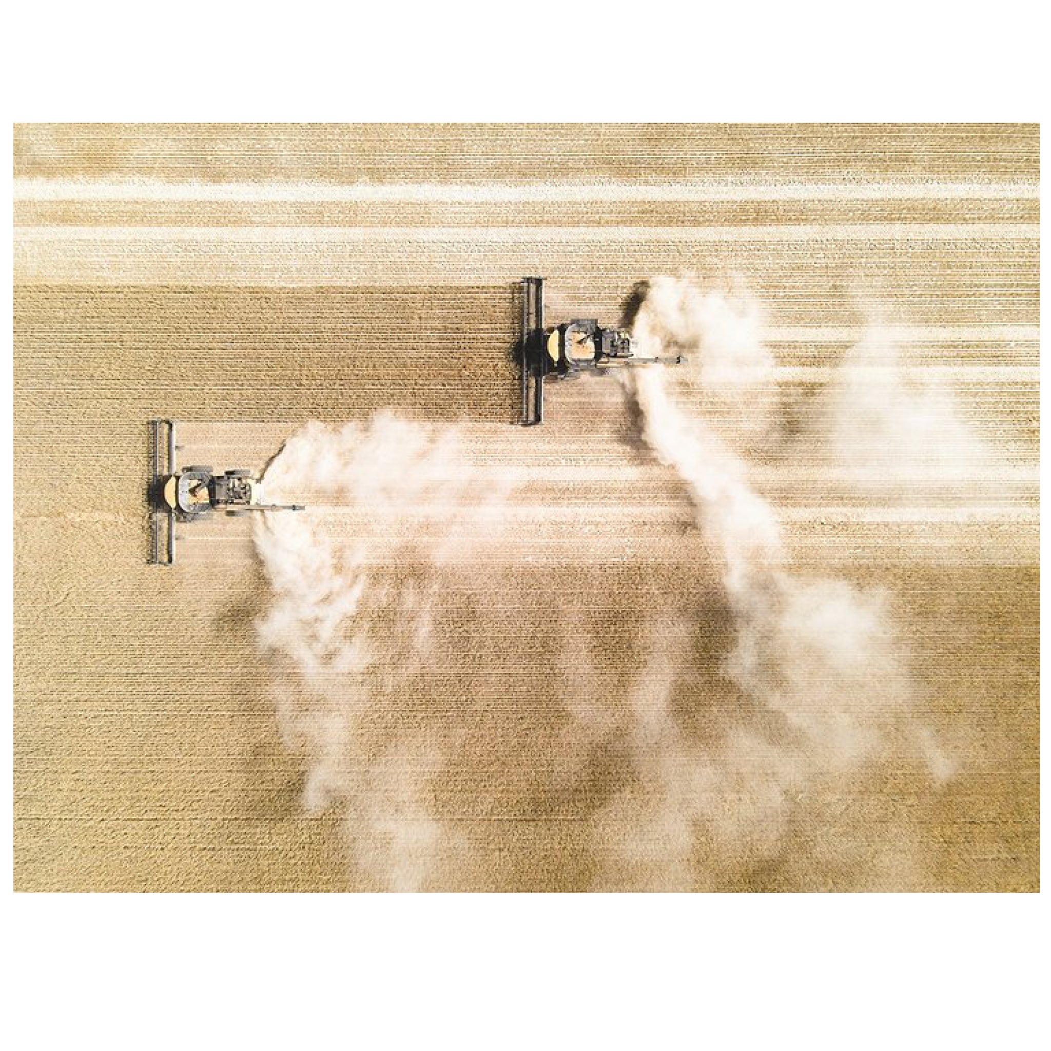 Julie Kenny - 'Horizontal Harvest' Mounted Print A3 in 40 x 50 cm Window (jken027)