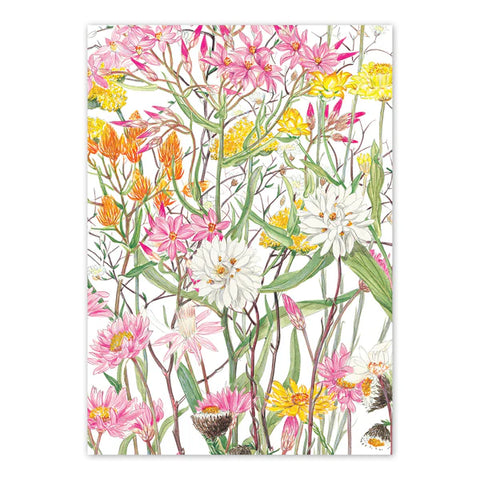 studio Nikulinsky - 'Desert Daisies' Rectangle Card A6 (m/anik44)
