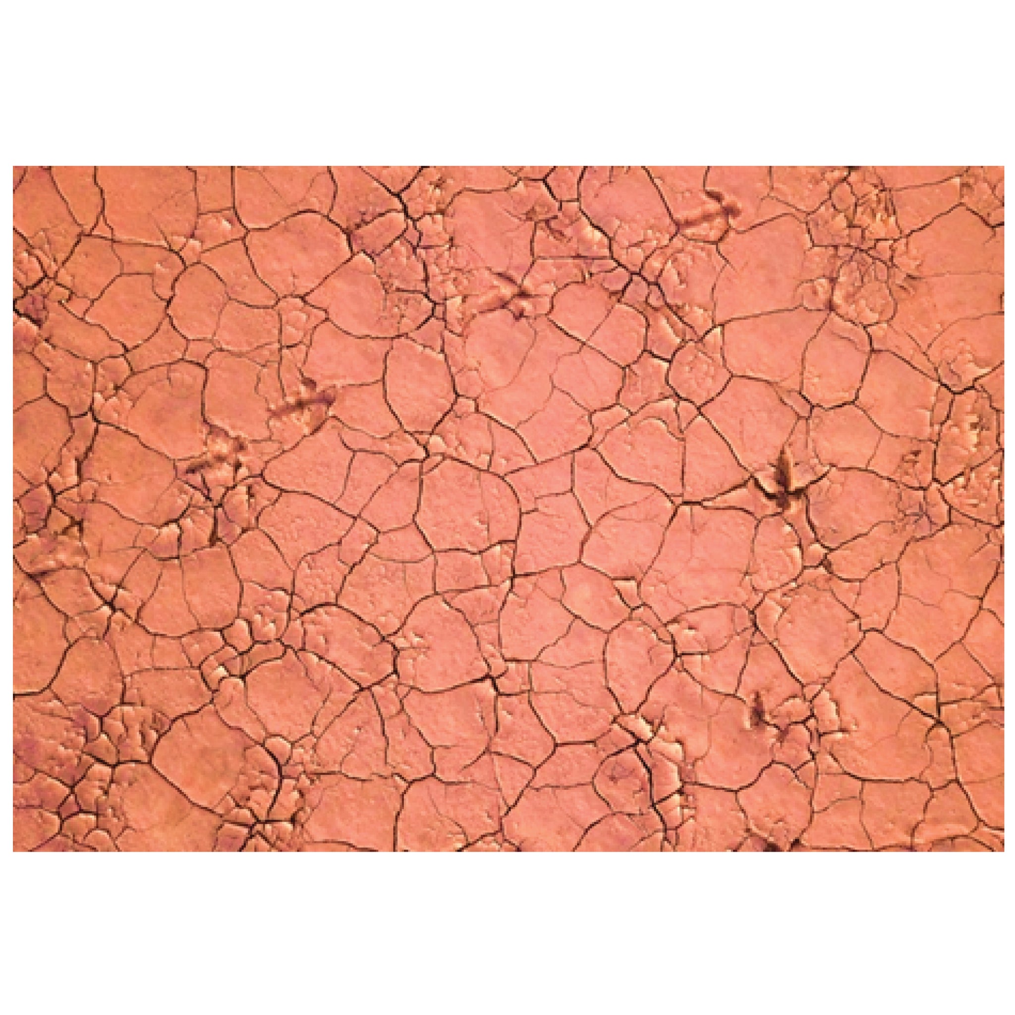 Julie Kenny - 'Sunburnt Country' Mounted Print A3 in 40 x 50 cm Window (jken021)
