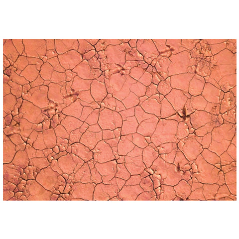 Julie Kenny - 'Sunburnt Country' Mounted Print A3 in 40 x 50 cm Window (jken021)