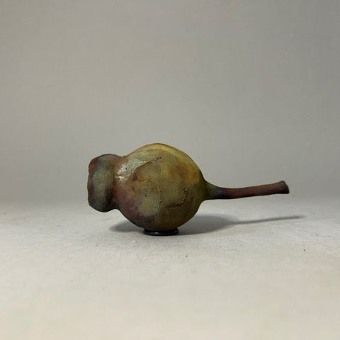 Sarah Keirle - 'Seedpod No. 520' Raku Fired True-to-Life Marri Nut (ske066)
