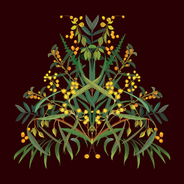 Joanna Brown - Laeline Design Studios - Various Card Stock - Western Australian Native Plants (m/jbr001)