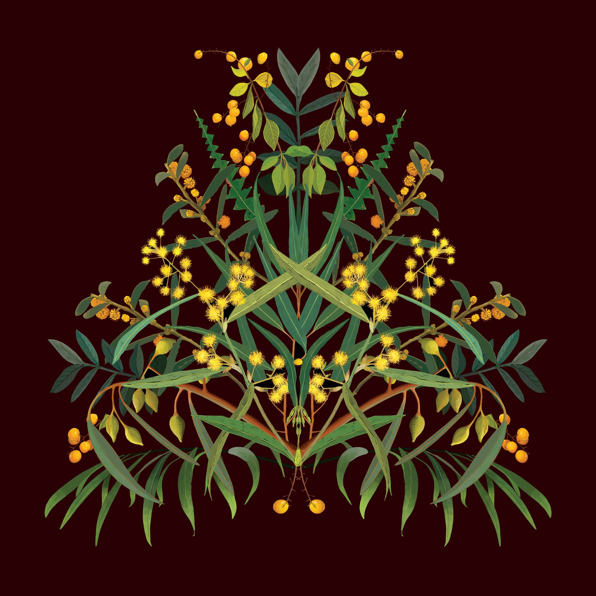 Joanna Brown - 'Wattle be Will be' Art Print (jbr007)