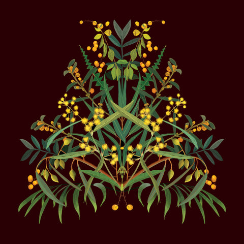 Joanna Brown - 'Wattle be Will be' Art Print (jbr007)